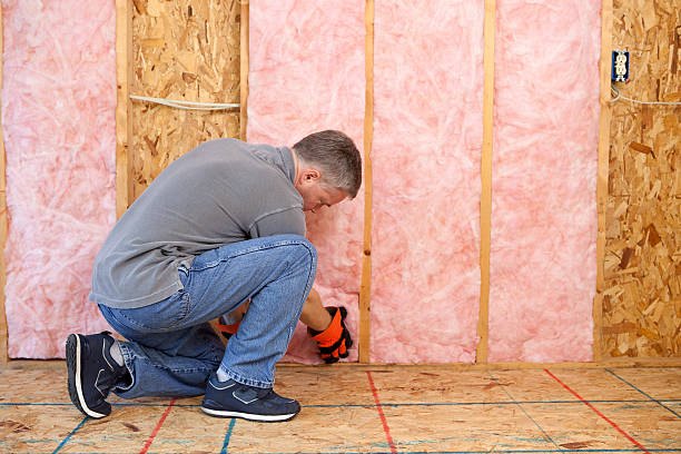Best Eco-Friendly Insulation in Oroville, WA